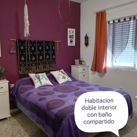 Lo Flamenc @Amposta Apartman Kültér fotó